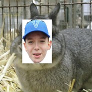 Wilfred de konijnen fokker