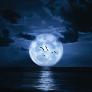 Blue Thunder Dragon