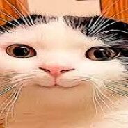 2к поряды удачлив