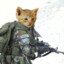 Cat_Soldier