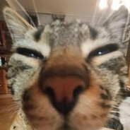 sigiemkagabrys