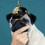 PugMann avatar