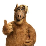 Alf