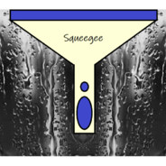 Squeegee