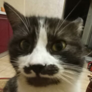 цейво.... Забув - steam id 76561197961401204