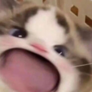 Oliveiraaaaa