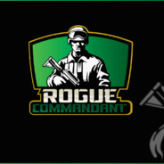 RogueCommandant's Avatar