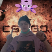 Chipolli