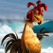 bunnycoocke  CSFAILNET