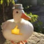 cool duck