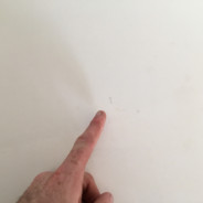 social_mustard's Avatar