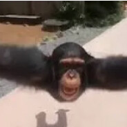 Axelander Seizt (weh)