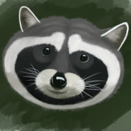 Foolish Raccoon's Avatar