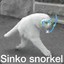 sinko snorkel