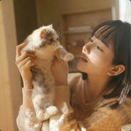 窗口的影子