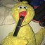 BigBird