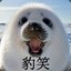 霸霸