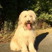 ruedigerkruse's Avatar