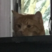 fren