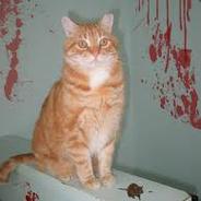 CritEveryHit's Avatar