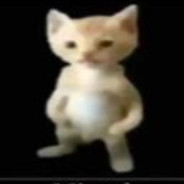 Miguel