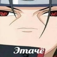 shmelota