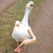 Its Ya Boi