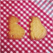 dinokoek