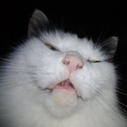 Russe très bon a face it