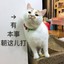 星河清梦