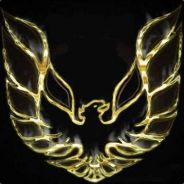 PhoenixofNight