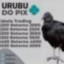 urubu do pix