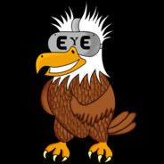 EYEagle_svk