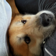 Limbuss<3