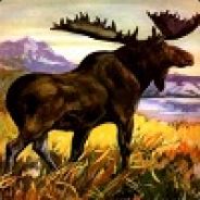 V.i MooseontheLoose avatar