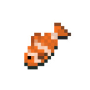 Clownfish