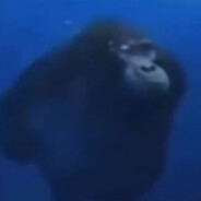 life could be a dream