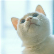 陈小小