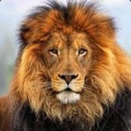 Sexy Beast