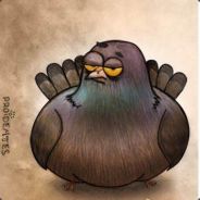 KogmiR