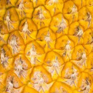 PineappleTheFruitDude