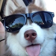 huskerz
