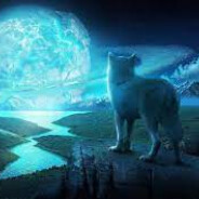 ice wolf