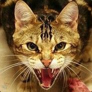 KaWaK - steam id 76561197970938845