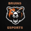 Bruins Esports Vincent