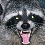 MrCooN