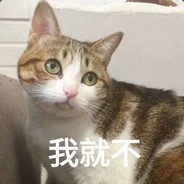 zyys