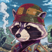 Platoon Raccoon's Avatar