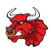 bulltoker