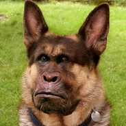 DILDOG